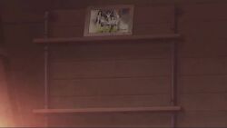 2girls animated anime_screenshot bandaid bandaid_on_cheek bandaid_on_face bandaid_on_nose do_it_yourself!! flashback multiple_girls sound subtitled suride_miku video yua_serufu