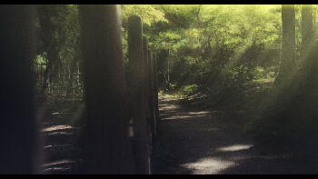 absurdres commentary dappled_sunlight fence forest gerar_dc highres nature no_humans original outdoors path road scenery sunlight symbol-only_commentary tree wooden_fence