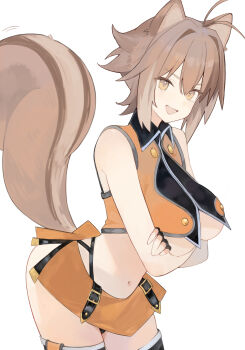1girl :d animal_ears arms_under_breasts bare_shoulders black_gloves blazblue breasts brown_eyes brown_hair brown_tail crop_top crossed_arms fingerless_gloves gloves highres large_breasts levvellevvel looking_at_viewer makoto_nanaya miniskirt navel open_mouth skirt smile solo squirrel_ears squirrel_girl squirrel_tail tail white_background