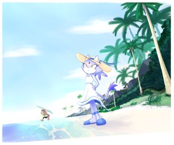 2girls animal_ears beach blaze_the_cat cat_ears cat_girl cat_tail dress forehead_jewel grass hand_on_own_hip hat highres holding holding_surfboard marine_the_raccoon multiple_girls official_alternate_costume palm_tree pincubepi raccoon_girl shore solo_focus sonic_(series) sonic_rush_adventure standing sun_hat sundress surfboard tail tree water white_dress yellow_eyes