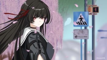 1girl absurdres black_choker black_hair black_jacket black_shirt blurry blurry_background breasts chimaera_scre chisa_(wuthering_waves) choker closed_mouth commentary english_commentary from_side hair_ribbon highres jacket long_hair looking_at_viewer looking_to_the_side medium_breasts pink_petals red_eyes red_ribbon ribbon sailor_collar shirt smile solo upper_body white_sailor_collar wuthering_waves