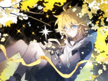 Rule 34 | 1boy, ahoge, aotu world, black background, black gloves, black shorts, blonde hair, blue eyes, branch, chinese commentary, closed mouth, drawstring, falling petals, feet out of frame, fingerless gloves, flower, gloves, hair between eyes, highres, hood, hood down, hoodie, king (aotu world), knees up, looking at viewer, male focus, multicolored hoodie, parted lips, petals, pointy ears, qiyu1125king, short hair, short sleeves, shorts, sitting, solo, sparkle, star (symbol), watermark, watermark grid, white hoodie, yellow flower