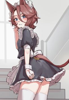 Rule 34 | 1girl, alternate costume, animal ears, apron, black dress, blue eyes, blush, brown hair, commentary, dress, frilled apron, frills, hair between eyes, highres, horse ears, horse girl, horse tail, looking at viewer, looking back, maid, maid apron, maid headdress, narita taishin (umamusume), open mouth, puffy short sleeves, puffy sleeves, revision, short hair, short sleeves, solo, solokitsune, stairs, sweatdrop, tail, thighhighs, umamusume, waist apron, white apron, white headdress, white thighhighs, white wrist cuffs, wrist cuffs