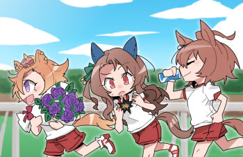 :d agnes_tachyon_(umamusume) ahoge animal_ears beer_hsk blue_sky blurry blurry_background bouquet bow brown_hair can closed_eyes closed_mouth cloud commentary_request crown day depth_of_field flower green_bow gym_shirt gym_shorts gym_uniform hair_bow holding holding_bouquet holding_can horse_ears horse_girl horse_tail king_halo_(umamusume) long_hair mini_crown one_side_up open_mouth outdoors profile puffy_short_sleeves puffy_sleeves purple_eyes purple_flower purple_rose red_eyes red_shorts rose running shirt shoes short_sleeves shorts sky smile t.m._opera_o_(umamusume) tail umamusume very_long_hair white_shirt white_shoes