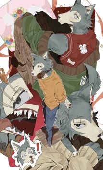 ! 1boy absurdres beastars blue_pants furry furry_male haru_(beastars) highres legoshi light_blush male_focus multiple_views negiii_to_1 orange_shirt pants rabbit red_jersey scar scar_across_eyebrow scar_on_face sharp_teeth shirt solo teeth tongue tongue_out wide-eyed wolf_boy