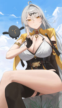 1girl absurdres ahoge armlet asymmetrical_gloves bird black_bird black_gloves black_unitard blue_sky blush breasts cleavage cloud cloudy_sky commentary_request crossed_legs elbow_gloves fingerless_gloves gloves grass grey_hair hair_between_eyes hair_ornament hairpin hand_up highres jacket jewelry large_breasts long_hair looking_at_viewer mm_(mhm2592) mole mole_on_breast orange_eyes outdoors single_elbow_glove single_hair_intake single_thighhigh sitting sky solo_focus sparkle thighhighs uneven_gloves yellow_jacket yin_yang_pin yixuan_(zenless_zone_zero) zenless_zone_zero