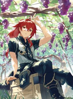 1boy arm_support arm_up black_boots black_jacket black_necktie black_pants black_shirt boots box clothes_around_waist crossed_bangs dappled_sunlight day diluc_(genshin_impact) food foot_out_of_frame fruit genshin_impact grape_vine grapes grass hair_between_eyes high_ponytail highres jacket jacket_around_waist looking_at_viewer male_focus necktie on_box outdoors pants parted_lips ponytail red_eyes red_hair shirt short_sleeves sitting solo sunlight sweat tsuyukusa_(eeta7273) twitter_username vest vineyard white_vest