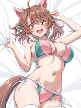 animal_ears bikini blush breasts brown_hair dantsu_flame_(umamusume) ear_covers hair_between_eyes highres horse_ears horse_girl horse_tail large_breasts looking_at_viewer lying medium_hair navel on_back open_mouth pink_bikini stomach swimsuit tail teeth tsukiyuki_mike umamusume upper_teeth_only yellow_eyes