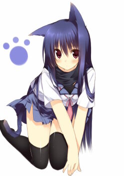 Rule 34 | 10s, 1girl, all fours, angel beats!, animal ears, black thighhighs, blue hair, blush, cat ears, cat tail, female focus, kuwashima rein, long hair, paw print, red eyes, scarf, school uniform, serafuku, shiina (angel beats!), skirt, solo, tail, thighhighs, zettai ryouiki