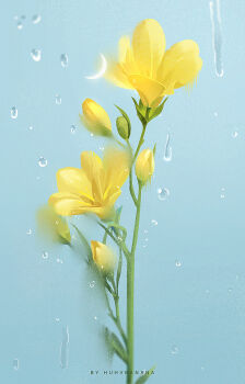 artist_name commentary crescent english_commentary flower flower_focus highres huhv. no_humans original plant plant_focus water_drop yellow_flower