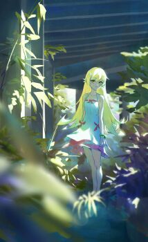 Rule 34 | 1girl, absurdres, bare arms, bare shoulders, blonde hair, blurry, blurry foreground, bracelet, closed mouth, commentary, day, dress, expressionless, full body, highres, jewelry, legs together, light particles, long hair, looking at viewer, monogatari (series), oshino shinobu, outdoors, plant, pointy ears, solo, standing, sundress, symbol-only commentary, tabulagami, very long hair, white dress, yellow eyes