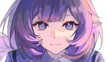 1girl absurdres blue_eyes chinese_commentary closed_mouth commentary_request elf elysia_(honkai_impact) highres honkai_(series) honkai_impact_3rd long_hair looking_at_viewer pink_hair pointy_ears portrait qianzao_a_nong_yi_dongbudong simple_background solo white_background