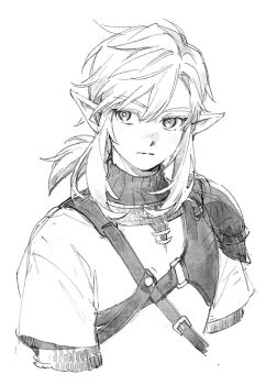 1boy armor closed_mouth commentary_request cropped_torso greyscale link male_focus monochrome nintendo pointy_ears ponytail renyuu short_ponytail shoulder_armor shoulder_belt sidelocks solo the_legend_of_zelda the_legend_of_zelda:_tears_of_the_kingdom