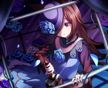 Rule 34 | 1girl, absurdres, animal ears, blue dress, blue flower, blue hat, blue rose, blush, breasts, brown hair, commentary request, dagger, dress, flipped hair, flower, fur choker, hair over one eye, hat, hat flower, highres, holding, holding dagger, holding knife, holding weapon, horse ears, horse girl, horse tail, knife, long hair, long sleeves, looking at viewer, parted lips, plant, purple eyes, rice shower (rosy dreams) (umamusume), rice shower (umamusume), rose, sazanka, sheath, small breasts, solo, tail, tilted headwear, umamusume, vines, weapon