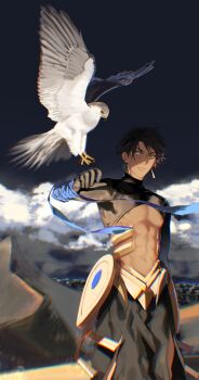 Rule 34 | 1boy, absurdres, animal, areola slip, bird, black hair, brown eyes, chromatic aberration, closed mouth, cloud, commentary, earrings, english commentary, fate/grand order, fate (series), hawk, highres, jewelry, kotomine (a1569), male focus, mountain, navel, outdoors, ozymandias (fate), short hair, solo, tan, toned, toned male