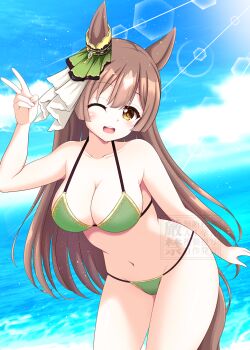 Rule 34 | 1girl, animal ears, bare shoulders, bikini, blue sky, blush, breasts, brown eyes, brown hair, cleavage, collarbone, commentary request, double-parted bangs, ear ornament, green bikini, hair between eyes, horse ears, horse girl, horse tail, large breasts, long hair, looking at viewer, minato 1690, multicolored hair, navel, ocean, one eye closed, open mouth, outdoors, satono diamond (umamusume), sky, smile, solo, stomach, streaked hair, swimsuit, tail, umamusume, v, very long hair, water