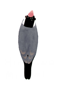 animal animal_focus bird blending facing_away from_above from_behind full_body head_tilt hirasawa_minami java_sparrow no_humans no_lineart original simple_background solo white_background