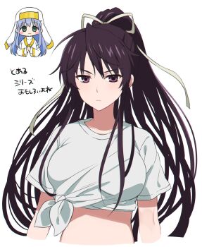 2girls black_hair breasts closed_mouth cropped_torso green_eyes grey_hair hair_ribbon highres index_(toaru_majutsu_no_index) kanzaki_kaori large_breasts long_hair multiple_girls murase48 nun ponytail purple_eyes ribbon shirt short_sleeves tied_shirt toaru_majutsu_no_index translation_request very_long_hair white_background white_shirt