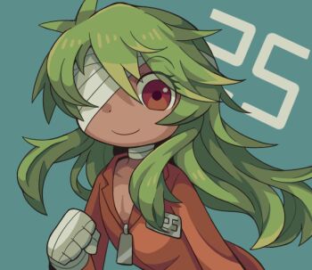 Rule 34 | 1boy, bandaged arm, bandages, blue background, brown eyes, clenched hand, closed mouth, dot nose, eyelashes, green hair, long hair, looking at viewer, male focus, nanbaka, neonraizu, nico (nanbaka), prison clothes, smile, solo, tan, upper body, very long hair, zipper pull tab