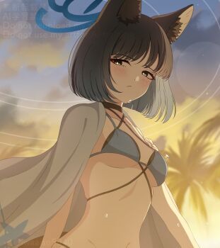 1girl :/ animal_ear_fluff animal_ears backlighting bikini black_choker black_eyes black_hair blue_archive blue_bikini blue_halo blunt_ends blurry blurry_background blush bob_cut breasts bright_pupils cat_ears cat_girl choker closed_mouth cloud collarbone commentary eyelashes eyeshadow frown halo haori_on_shoulders highres iwaaiso5040 kikyou_(blue_archive) kikyou_(swimsuit)_(blue_archive) lens_flare looking_at_viewer makeup medium_breasts official_alternate_costume outdoors palm_tree red_eyeshadow short_hair sky solo straight_hair sunset swimsuit tree twitter_username underboob upper_body water_drop watermark white_pupils