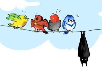 animalization bat_(animal) bat_(animal) batman batman_(series) bird bluejay brothers bruce_wayne canary cardinal_(animal) damian_wayne dc_comics dick_grayson family jason_todd lowres nightwing perch red_hood_(dc) red_robin robin_(animal) robin_(dc) siblings sky tim_drake wire