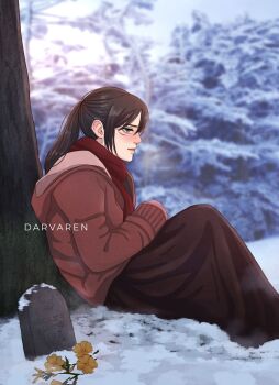 1girl artist_name black_hair black_skirt blush brown_coat coat commentary darvaren english_commentary facial_scar flower grave highres hood hood_down hooded_coat long_hair long_skirt mikasa_ackerman pale_skin ponytail red_scarf scar scar_on_cheek scar_on_face scarf shingeki_no_kyojin sitting skirt snow solo tombstone tree under_tree winter yellow_flower