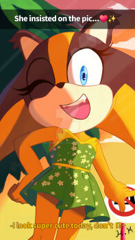 blue_eyes brown_fur brown_hair dress fang flower_print green_dress hatkuvipwt legs one_eye_closed orange_fur orange_hair outdoors petite sega smile sonic_(series) sonic_boom_(series) sticks_the_badger sunset twintails wink