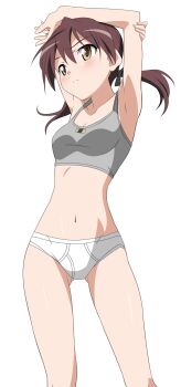 Rule 34 | 1girl, armpits, arms behind head, arms up, artistic error, blush, bra, briefs, brown eyes, brown hair, classic fly briefs, cowboy shot, female focus, gertrud barkhorn, grey bra, groin, highres, lingerie, male underwear, navel, panties, short hair, short twintails, solo, sports bra, stomach, stretching, strike witches, twintails, underwear, underwear only, white briefs, white male underwear, world witches series, yellow eyes