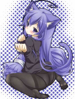 1girl :&lt; acchi_kocchi ahoge animal_ears ass black_panties black_pantyhose blush cat_ears cat_tail crotch_seam feet female_focus hair_tie halftone halftone_background highres loli long_hair long_sleeves low-tied_long_hair miniwa_tsumiki no_shoes nylons open_mouth panties panties_under_pantyhose pantyhose paw_pose purple_eyes purple_hair sitting soles solo tail thighband_pantyhose thighhighs toron_(mino106) underwear wariza