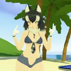 1girl 3d :3 :d animal_costume animal_ear_fluff animal_ears animated beach between_breasts bikini breasts dancing denim denim_shorts gloves grey_wolf_(kemono_friends) heterochromia highleg highleg_panties kemono_friends medium_breasts necktie necktie_between_breasts open_clothes open_mouth open_shorts outdoors palm_tree panties short_shorts shorts smile swimsuit tagme tail tree underwear video vrchat white_gloves wolf_costume wolf_ears wolf_girl wolf_tail yogurt_cap