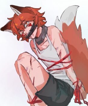 1boy animal_ears bdsm black_shorts bondage bound bound_torso bound_wrists boyfriend_to_death collar commentary_request constricted_pupils crying crying_with_eyes_open facial_mark fangs fox_boy fox_ears fox_tail furry furry_male gagged head_tilt highres looking_at_viewer mwwsqqqq999 orange_eyes ren_hana_(boyfriend_to_death) scar scar_on_arm scar_on_chest shorts tail tank_top tears white_tank_top wide-eyed