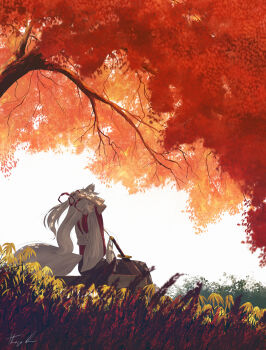 1girl absurdres animal_ears arms_behind_head autumn autumn_leaves commentary detached_sleeves grey_hair highres inubashiri_momiji leaf long_hair oubachiago outdoors procreate_(medium) red_ribbon ribbon sheath sheathed signature sitting skirt solo tail touhou tree tying_hair wolf_ears wolf_girl wolf_tail