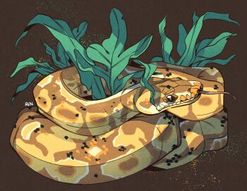animal animal_focus ball_python brown_background brown_eyes commentary commission english_commentary full_body highres leaf no_humans original python rentgraham signature simple_background snake solo tongue tongue_out