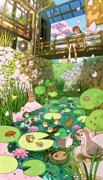 1girl absurdres air_conditioner baby_animal balcony barefoot beetle bird blue_shorts blue_sky blush bridge brown_hair bug butterfly cat cherry_blossoms closed_mouth commentary_request crab crayfish day door duck duckling falling_petals feet fish flower flower_pot frog giant_salamander grass highres hood hood_down hoodie house industrial_pipe insect koi ladybug leaf lily_pad long_hair long_sleeves lotus lotus_leaf mallard open_clothes open_hoodie original outdoors petals petals_on_liquid pink_flower plant ponytail potted_plant railing rock scenery shadow shirt shorts sitting sky slice_of_life smile snail stack stone_wall swimming tadpole tao_(tao15102) tree turtle vines wall water water_lily_flower white_butterfly white_cat white_hoodie window yellow_butterfly yellow_shirt