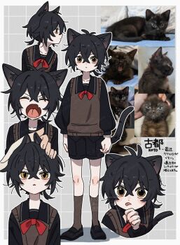 1girl :q animal_ear_fluff animal_ears antenna_hair black_hair black_sailor_collar black_shirt black_shoes black_shorts border bow bowtie brown_socks brown_sweater_vest cat cat_ears cat_girl cat_tail closed_eyes commentary_request corn_kuten crossed_bangs double-parted_bangs fangs grey_background grid_background hair_between_eyes highres kneehighs long_sleeves multiple_views original outline outside_border own_ears_together personification photo_inset real_life red_bow red_bowtie sailor_collar school_uniform serafuku shadow shirt shoes short_hair shorts skin_fangs socks sweater_vest tail tongue tongue_out v-shaped_eyebrows white_border white_outline yellow_eyes