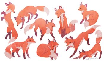 animal crossed_legs facing_viewer fox hands_on_lap multiple_views no_humans original rearing running simple_background sitting still_life stretching white_background zandra