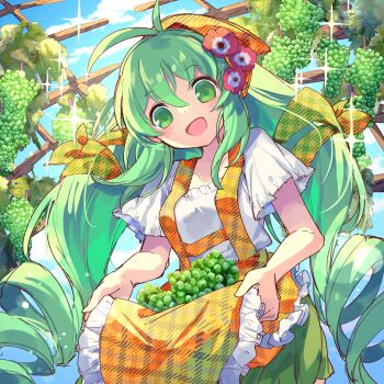 Rule 34 | 1girl, alraune (p&amp;d), apron, bow, flower, flower on head, food, fruit, grapes, green eyes, green hair, hair bow, hair flower, hair ornament, highres, holding grape, kuuron (moesann17), long hair, open mouth, orange apron, puzzle &amp; dragons, shirt, short sleeves, smile, solo, very long hair, vineyard, white shirt, yellow bow