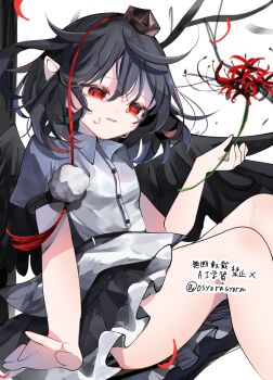 Rule 34 | 1girl, black hair, commentary request, flower, highres, looking at object, medium hair, osyorasyora, red eyes, red flower, shameimaru aya, short sleeves, solo, spider lily, touhou, white background