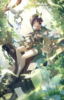 1boy absurdres animal aqua_hair beret bird black_bow black_bowtie black_corset black_hair black_shoes blurry bow bowtie braid cape cecilia_flower_(genshin_impact) chinese_commentary closed_mouth collared_cape commentary_request corset day deer depth_of_field flower full_body genshin_impact gradient_hair green_cape green_eyes green_hat green_shorts hair_between_eyes hand_up hat hat_flower highres holding holding_instrument holding_lyre in_tree instrument leaf light_smile long_sleeves looking_at_viewer lyre multicolored_hair musical_note outdoors pantyhose paper puffy_long_sleeves puffy_sleeves purple_ribbon ribbon shirt shoes short_hair_with_long_locks shorts side_braids sitting sitting_in_tree solo striped_bow striped_bowtie striped_clothes tree twin_braids venti_(genshin_impact) vision_(genshin_impact) white_bird white_flower white_pantyhose white_shirt wreath yolanda