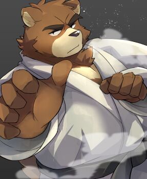 1boy absurdres angry animal_ears bear_boy bear_ears belt black_belt brown_fur chest_fur commentary_request dougi fighting_stance furry furry_male highres inoshika_(boar_stag144) judo juuichi_mikazuki looking_at_viewer male_focus morenatsu pants shirt thick_eyebrows white_pants white_shirt
