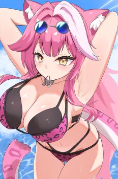 1girl animal_ears arms_behind_head arms_up bikini black_bikini breasts cat_ears cat_girl cat_tail cleavage closed_mouth double_bikini earl_grey_no_chaba highres hololive hololive_english large_breasts long_hair looking_at_viewer pink_bikini pink_hair raora_panthera raora_panthera_(holonatsu_paradise) swimsuit tail very_long_hair virtual_youtuber white_streaks yellow_eyes