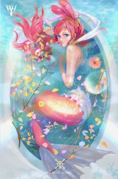 1girl blue_eyes bubble closed_mouth commentary curled_up english_commentary eyelashes fish_hair_ornament flower full_body hagoromo hair_ornament half_updo highres jolly_roger long_hair lying mermaid monster_girl on_side one_piece pink_hair shawl shirahoshi straw_hats_jolly_roger yellow_(huang-hotdog)