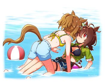 2girls agnes_tachyon_(lunatic_lab)_(umamusume) agnes_tachyon_(umamusume) ahoge animal_ears back ball beachball bikini black_bikini blue_bikini blue_shorts blue_swim_trunks breasts brown_hair criss-cross_halter denim denim_shorts ear_ornament face-to-face flask green_jacket halterneck horse_ears horse_girl horse_tail huge_ahoge jacket jungle_pocket_(tobasuze_hot_summer!)_(umamusume) jungle_pocket_(umamusume) layered_bikini mazu1kan medium_breasts medium_hair multiple_girls notched_ear ponytail red_eyes short_ponytail short_shorts shorts swimsuit tail tied_jacket umamusume water wet yellow_bikini yukadon yuri