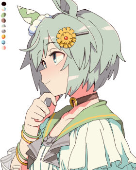 1girl animal_ears blue_eyes brown_choker choker closed_mouth collarbone commentary_request green_sailor_collar grey_hair hair_ornament hairclip horse_ears horse_girl sailor_collar seiun_sky_(reeling_in_the_big_one)_(umamusume) seiun_sky_(umamusume) short_hair simple_background smile solo toriga_naku umamusume white_background